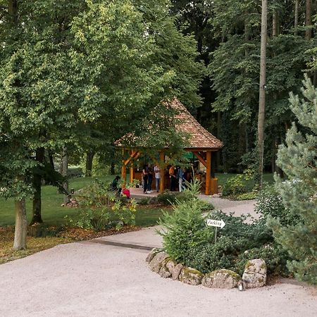 Maison D'Hotes Les Jardins De Madeleine Bernardvillé Esterno foto