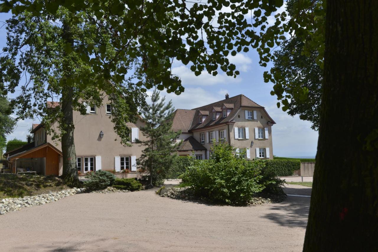 Maison D'Hotes Les Jardins De Madeleine Bernardvillé Esterno foto