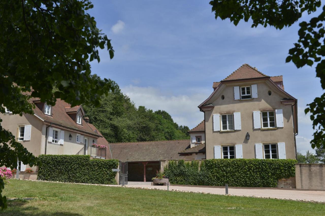 Maison D'Hotes Les Jardins De Madeleine Bernardvillé Esterno foto